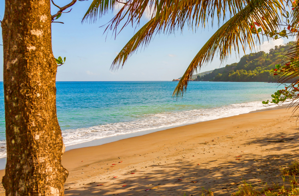 Explore Investment Opportunities in Grenada Orience