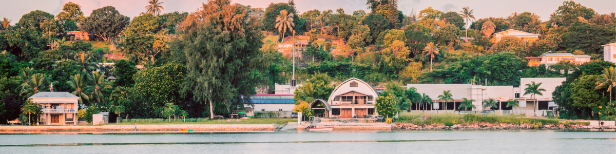 How long does it take to obtain citizenship by investment in Vanuatu?