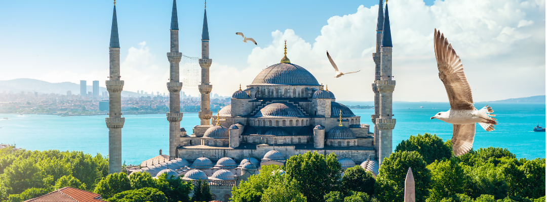 Minimum Investment to Obtain Turkish Citizenship